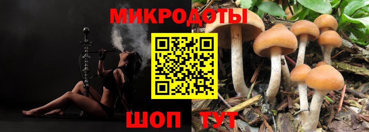 Псилоцибиновые грибы Magic Shrooms Рузаевка
